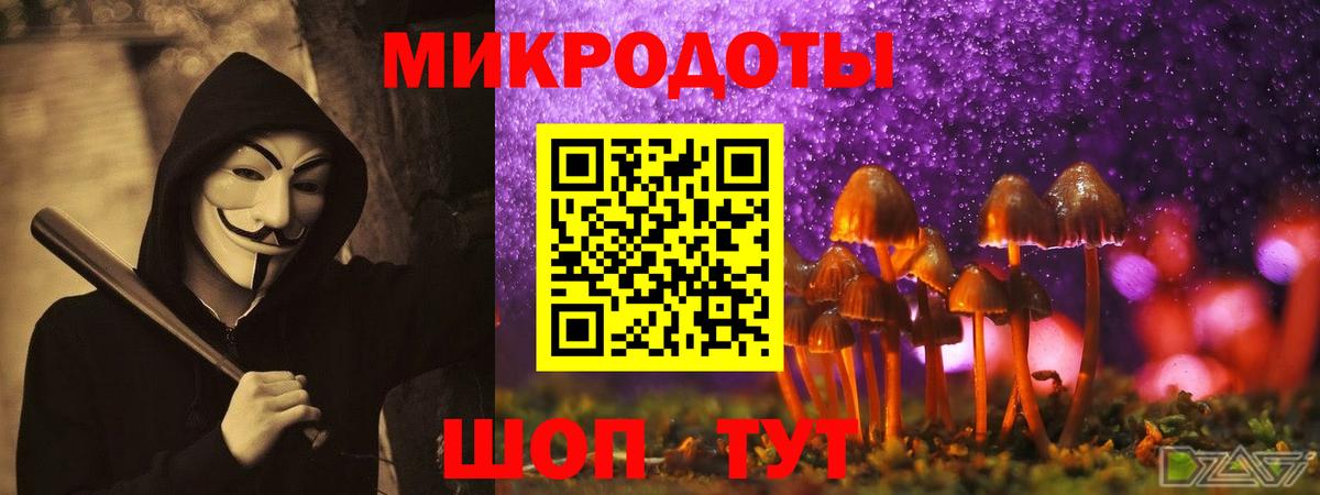Сальск  Псилоцибиновые грибы Psilocybine cubensis  дарнет шоп  Вход с VPN 